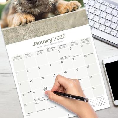 Border Terrier Kalender 2026