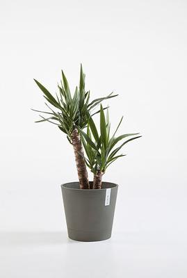 Ecopots Venice kunststof bloempot Taupe - Ø 27,7 cm