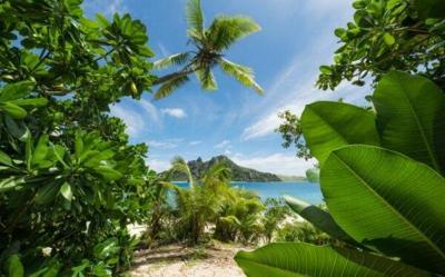 Komar Stefan Hefele; Komar Wanderlust Fotobehang Cast Away Jungle - SHX9-106