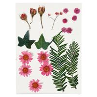 Creativ Company Gedroogde bloemen en bladeren lichtrood, 19dlg. - thumbnail