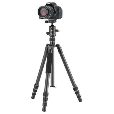 Vanguard VESTA GO 234CB