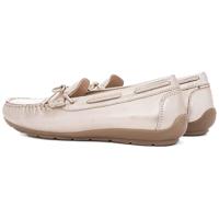 Ara 1219212 - alle - thumbnail