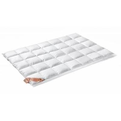VanDyck Excellent Dekbed 450