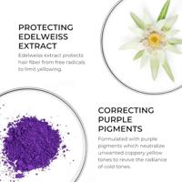 Phyto No Yellow Violet - Zilvershampoo - thumbnail
