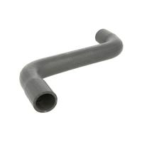 Radiateurslang 3404055 - thumbnail