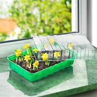 Connex Kweekbak 36X22X13Cm (Klassiek) - FLOR79020 - thumbnail