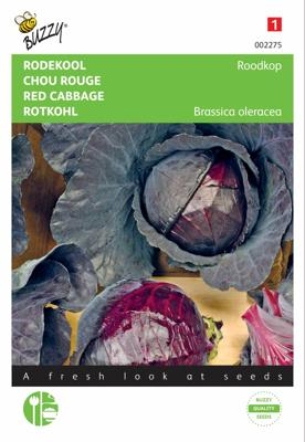 Zaden Rode kool Roodkop Buzzy - Buzzy