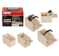 Spin in houten doos - thumbnail