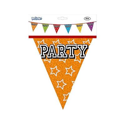 Holografische Vlaggelijn &apos;Party&apos; (8m)