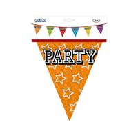 Holografische Vlaggelijn &apos;Party&apos; (8m) - thumbnail