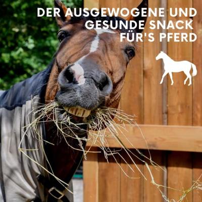 LAX Weideproducten knapperstangen voor paarden 3 kg (4 stangen) - graan- en melassevrije ruwvoedersnacks met hooi en groenten - Gezond aanvullend voer & paardenlekkernij