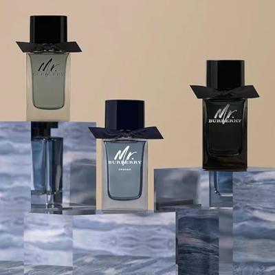 Burberry Mr. Burberry Eau de Parfum 100ml