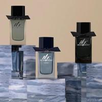 Burberry Mr. Burberry Eau de Parfum 100ml - thumbnail