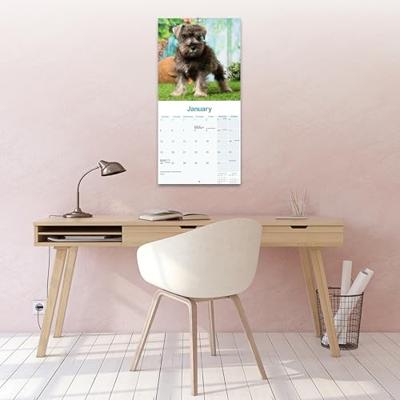 Miniatuur Schnauzer Kalender 2026 Miniatuur Schnauzer Kalender 2026