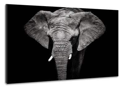 Schilderij -Olifant in zwart/wit, magisch, 100x70cm, wanddecoratie