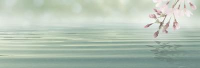 Schilderij - Bloesem in het roze boven mint groene zee, panorama, 2 maten