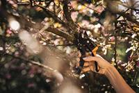 Fiskars Powerstep 1-2-3 snoeischaar aambeeld - 1000575 - 1000575 - thumbnail