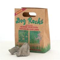 Dog Rocks - thumbnail