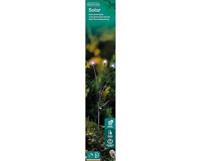Lumineo Solar tuinsteker multi h70cm firefly Lumineo Solar tuinsteker multi h70cm firefly