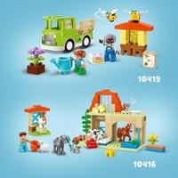 LEGO DUPLO bijen en bijenkorven 10419 - thumbnail
