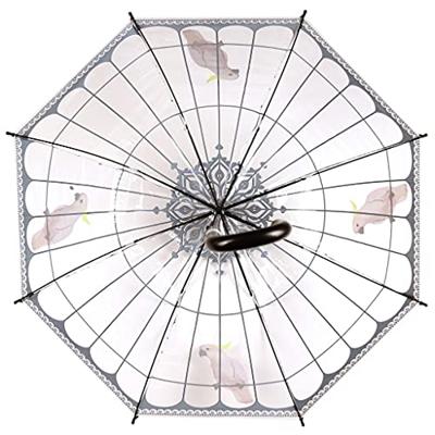 Esschert Design Paraplu Vogelkooi 81 cm Transparant/Zwart Esschert Design Paraplu Vogelkooi 81 cm Transparant/Zwart