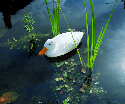Ubbink Vijverdecoratie eend wt