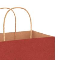 VidaXL Papieren zakken 250 st met hengsels 45x17x48 cm rood - thumbnail