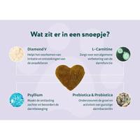 Dogsuppy Anti-Anaalklier Probiotica Forte Chewies - thumbnail