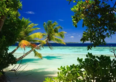 Alexsar Art Tuinschilderij oceaan 70x50cm