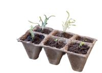 Turfpottrays H5x5x5cm set a 10 trays van 6 stuks Nature - Nature - thumbnail