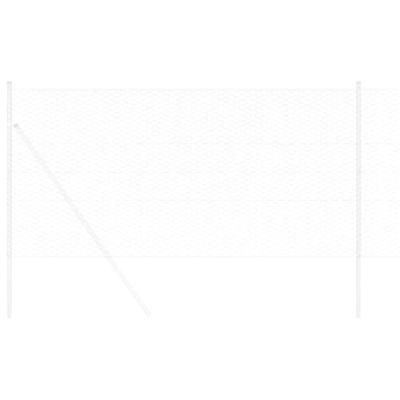 Hexagon Hek Zilver 5000 x 0.06 x 100 cm Gegalvaniseerd staal