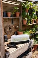 Elho Green Basics zaaitray 22cm steengroen - thumbnail