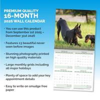 Dobermann Kalender 2026 - thumbnail