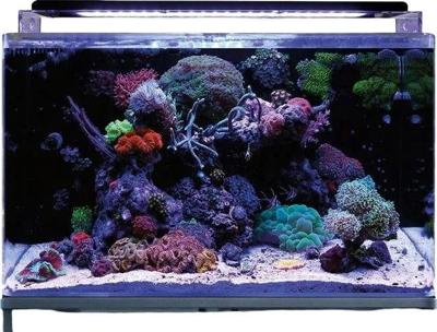 Reef 160 aquarium Blue Marine Aquadistri - Aquadistri