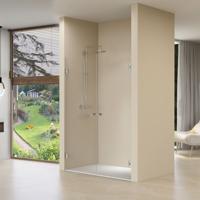 Dubbele Nisdeuren Van Rijn ST01 Helder Glas 100x200 cm 8 mm Chroom - thumbnail
