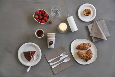 Duni Wegwerpborden 18 cm 10 Stuks Wit