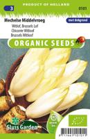 Witlof zaden Mechelse Middelvroege BIO - thumbnail