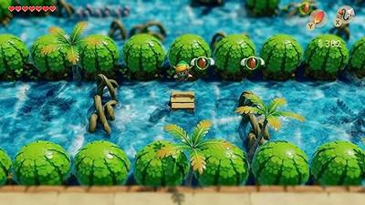 The Legend of Zelda Link's Awakening