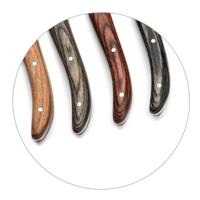 Vleesmessenset Lou Laguiole Louis Hout 23 x 2 x 1 cm Metaal 6 Stuks - thumbnail