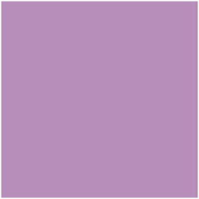 Fiches Iris Mauve 50 x 65 cm