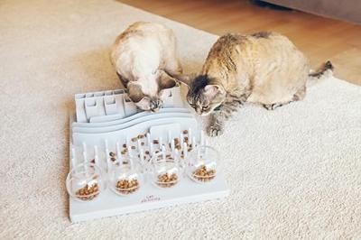 TRIXIE CAT ACTIVITY FUN BORD - thumbnail