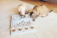 Trixie cat activity fun bord - thumbnail