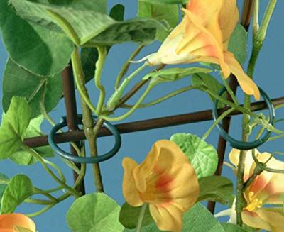 Meister Ringbinders 26Mm 35 St - WU9970700