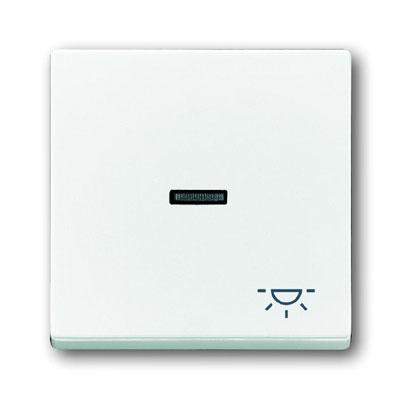 Busch-Jaeger bedieningswip 1789 LI-84 studiowit