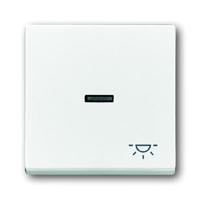 Busch-Jaeger bedieningswip 1789 LI-84 studiowit - thumbnail