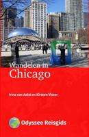 Wandelen in Chicago - Irina van Aalst, Kirsten Visser - ebook - thumbnail