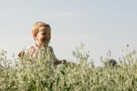 Bibs 3 Fopspeen Duo Sage Ivory - thumbnail