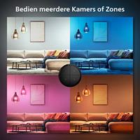 Philips Hue Draadloze schakelaar 8719514440937 Hue Tap dial switch EU Black - thumbnail