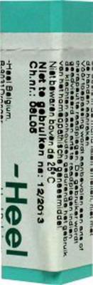 Homeoden Heel Chamomilla D6 1 Gram