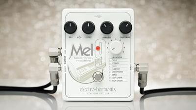Electro Harmonix MEL9 Tape Replay Machine